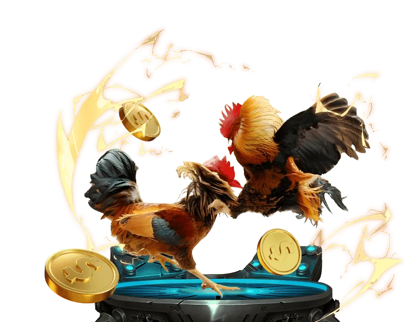 Chương trình VIP kuwin2